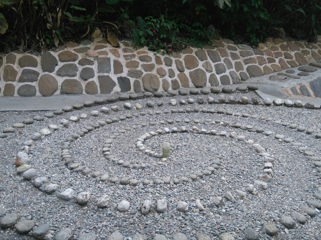 Museo de Las Piedras景点图片