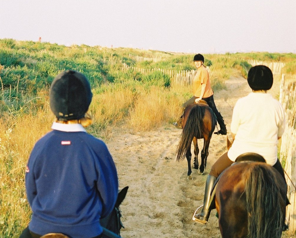 Park Lane Riding School-Meols必去景点