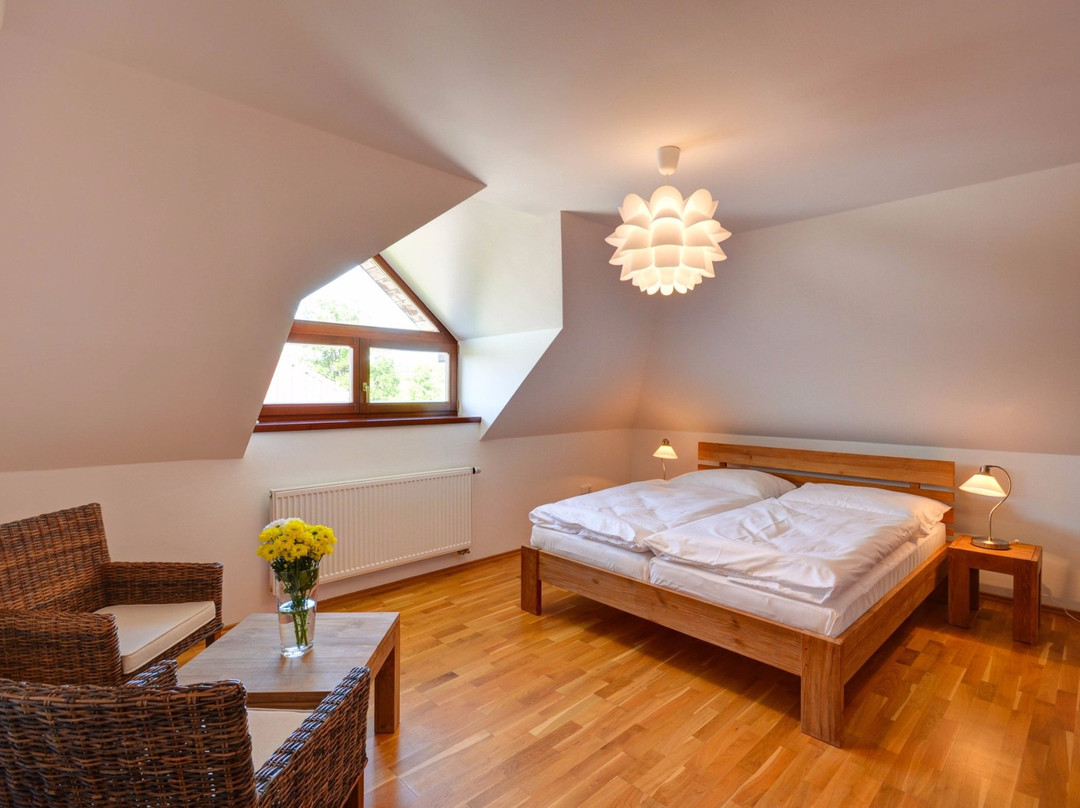 Nova Bystrice酒店住宿-Amenity Hotel & Resort Česká Kanada