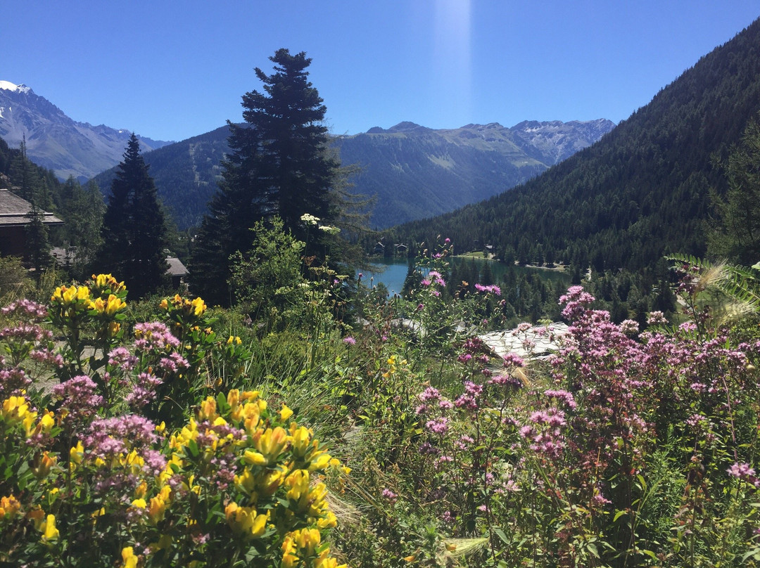 Flore-Alpe Alpine Botanical Garden景点图片