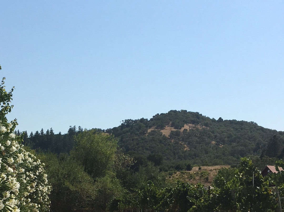 Stuhlmuller Vineyards景点图片