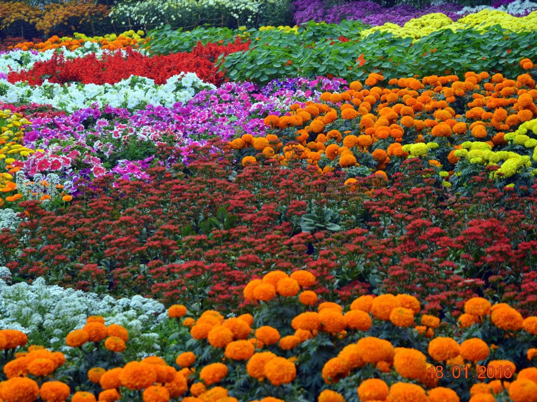 Gandhi Udyan Park-赖布尔必去景点