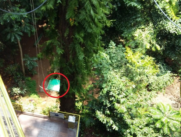 Tree Top Adventure Subic-苏比克湾自由贸易区必去景点