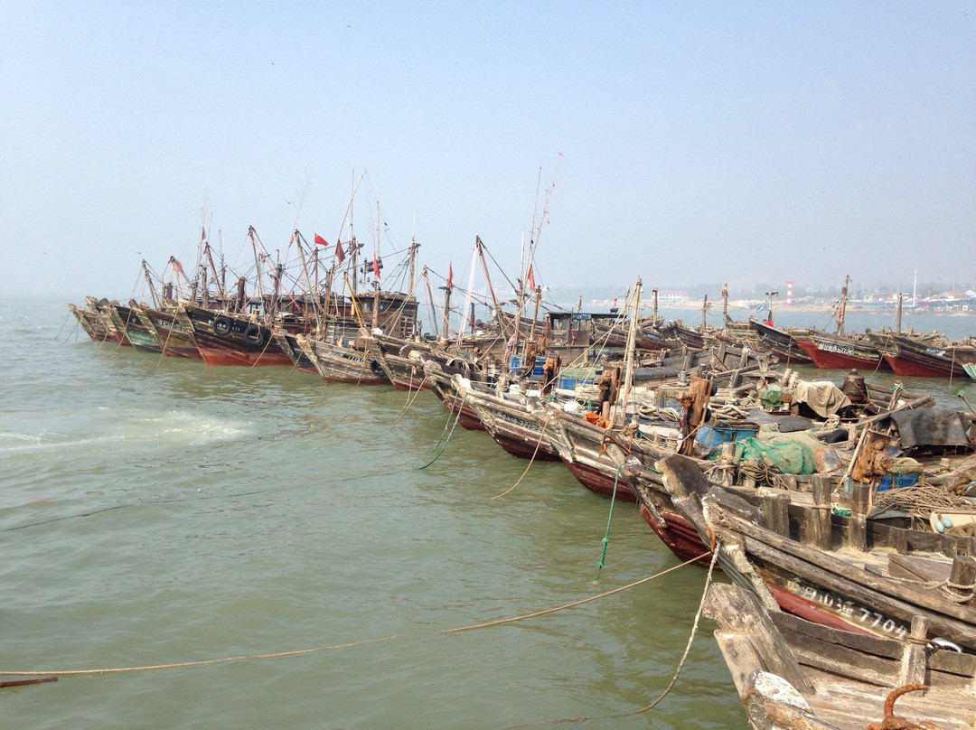 日照海滨森林公园-日照市必去景点