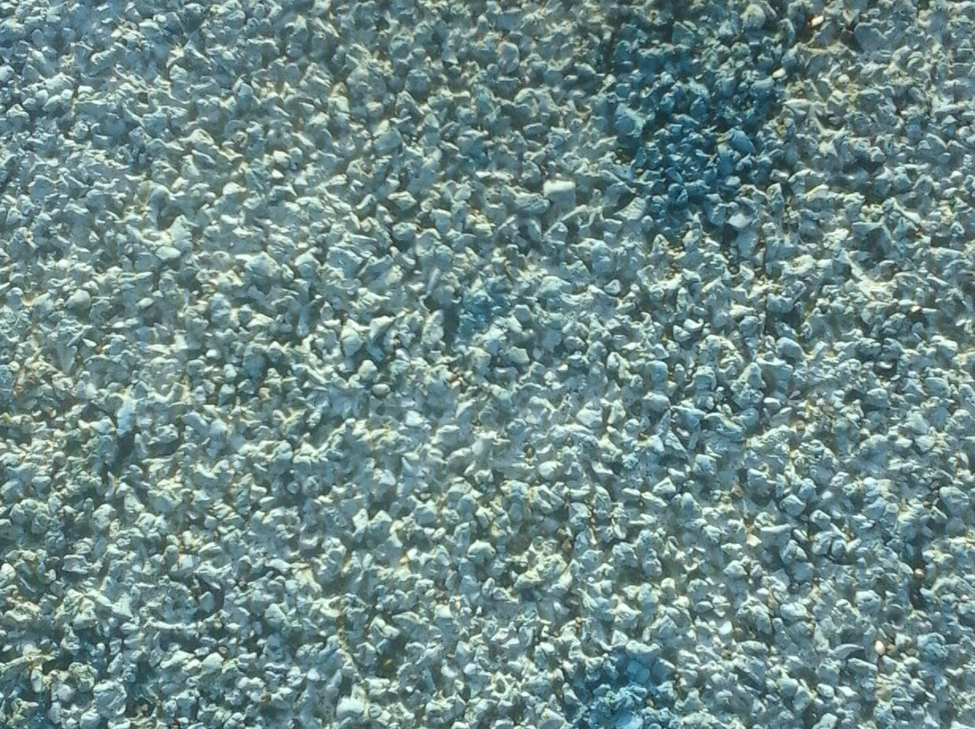 Blue Carpet-万鸦老必去景点