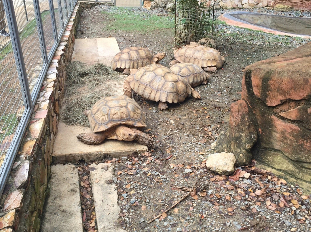 Science Park-圣胡安必去景点
