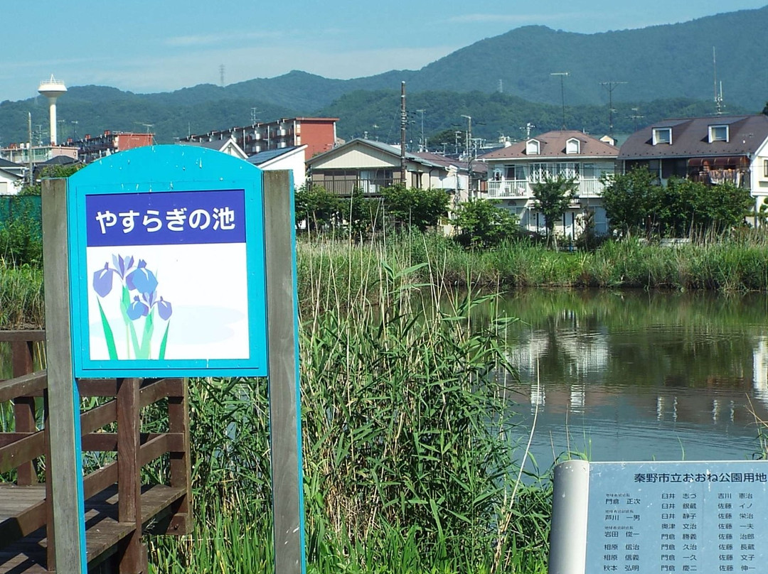 One Park-秦野市必去景点