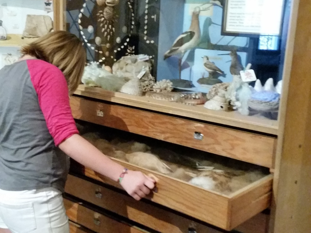 Riverside Metropolitan Museum-里弗赛德必去景点