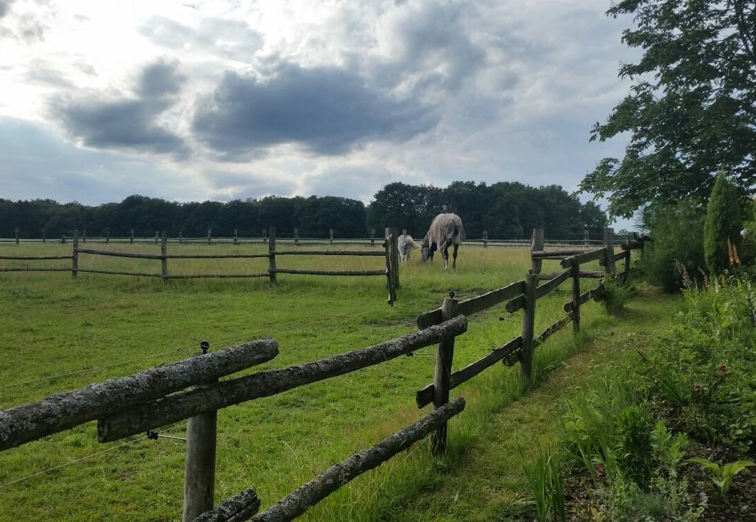 Landhaus Calluna主图