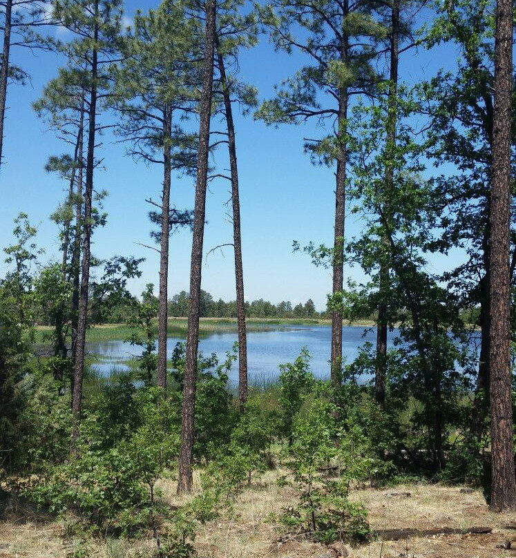 White Mountain Nature Center-Pinetop-Lakeside必去景点