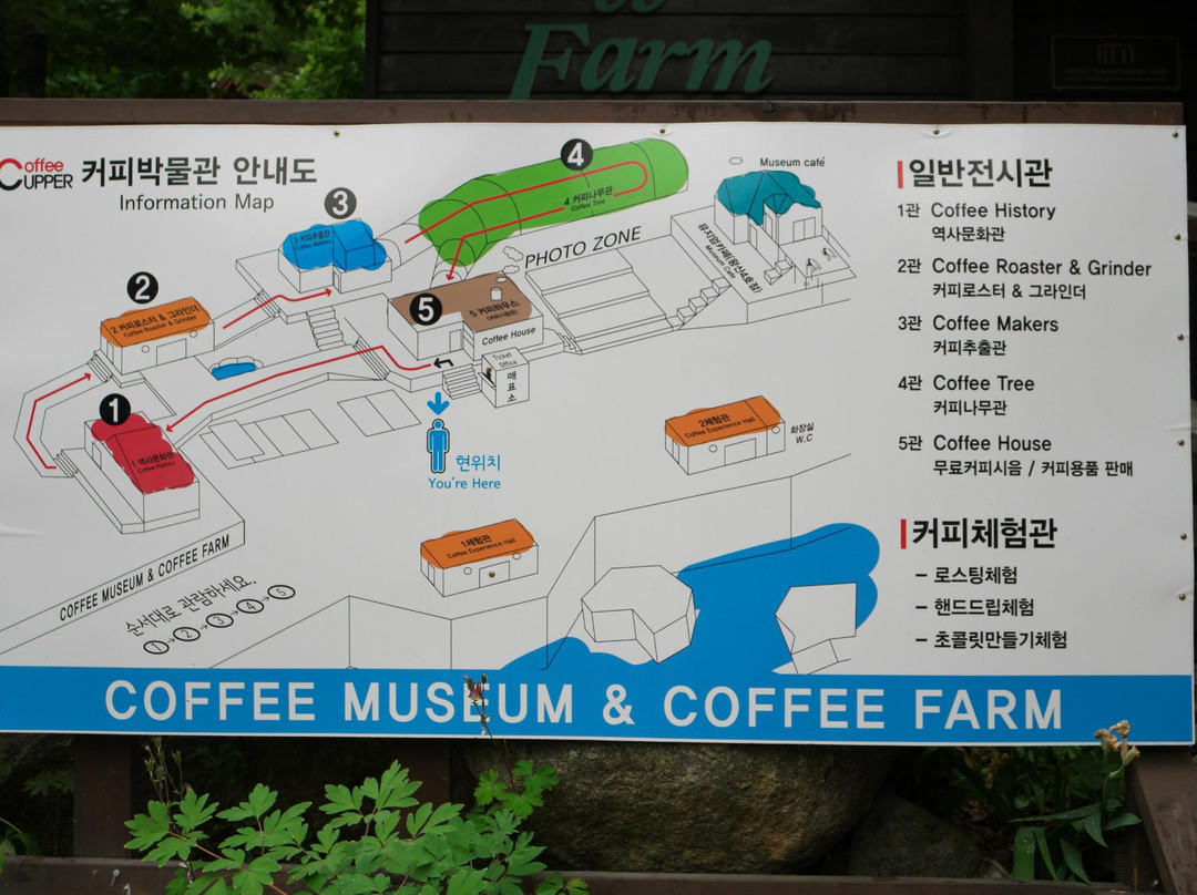 Coffee Cupper Museum-江陵市必去景点