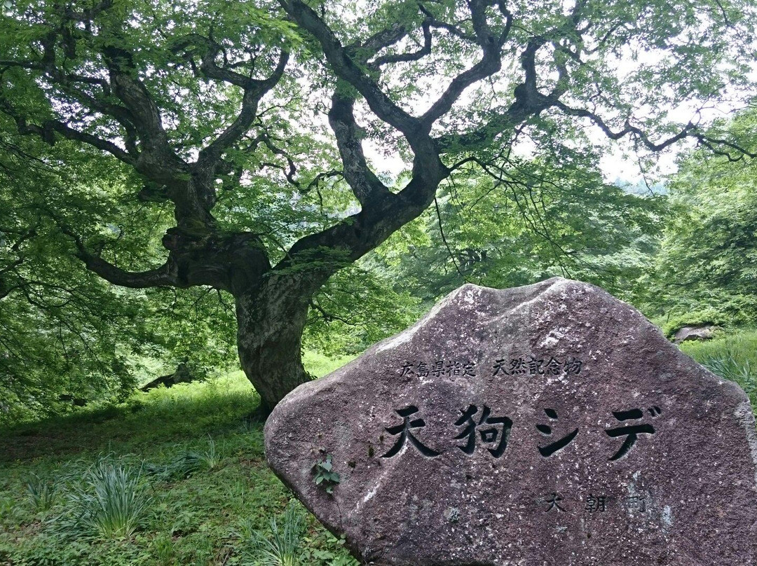 Tengushide Grove of Oasa景点图片