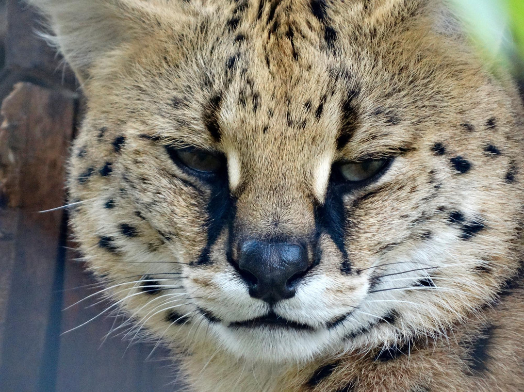 Munda Wanga Environmental Park-Chilanga必去景点