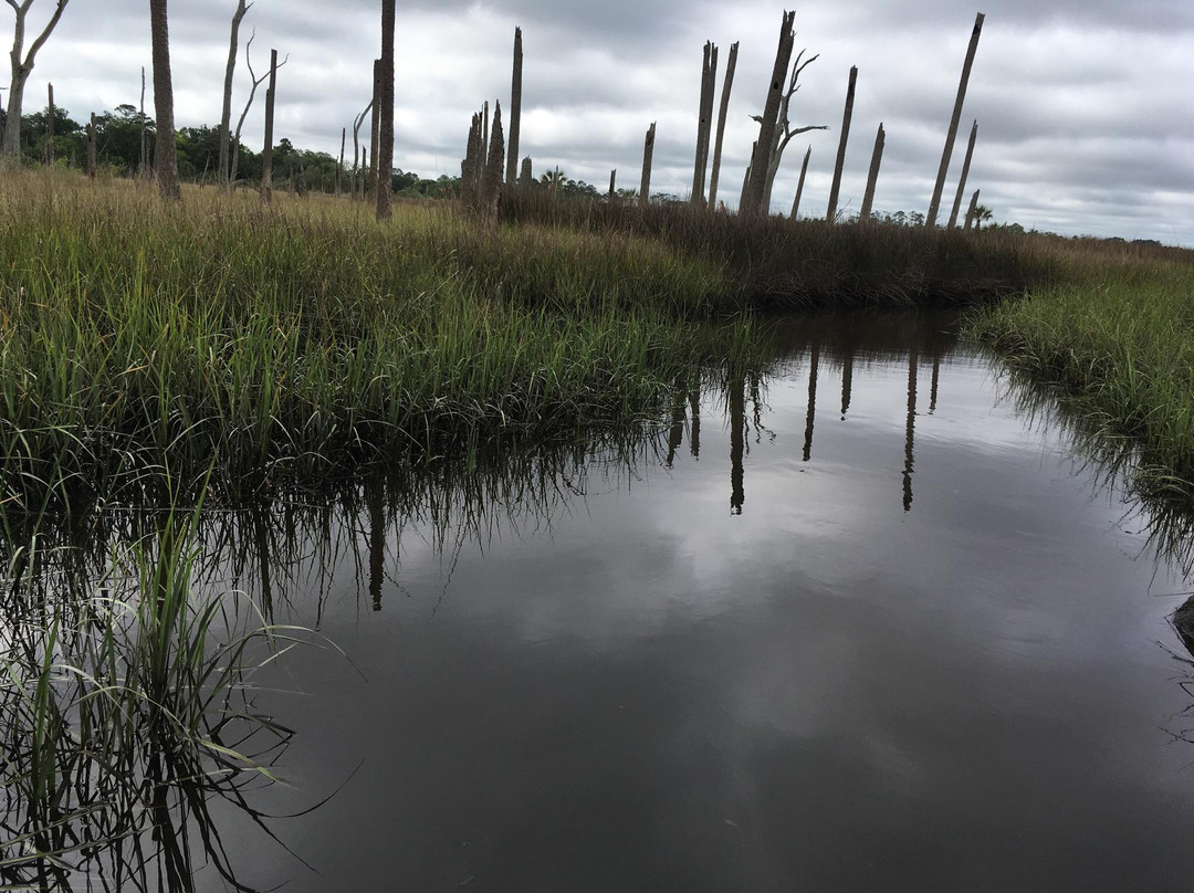 Cradle Creek Preserve景点图片