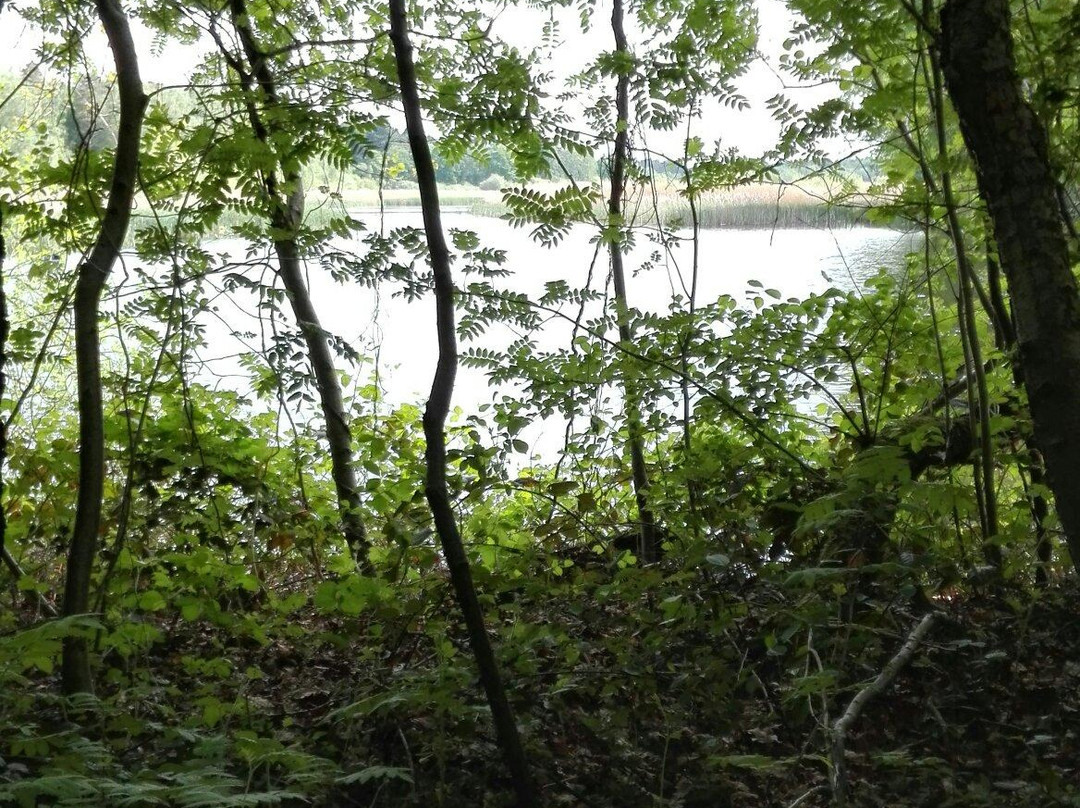 Soete-Wey Hostellerie主图