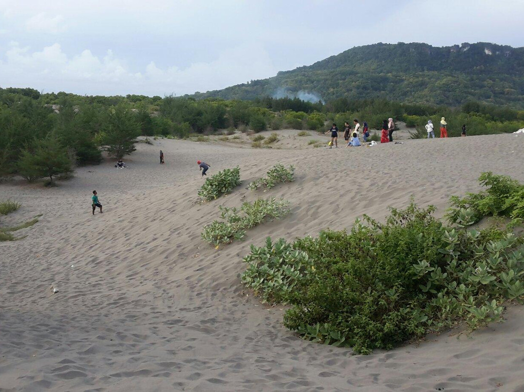 Sandboarding Gumukpasir (Jogja Adventure Trip)景点图片