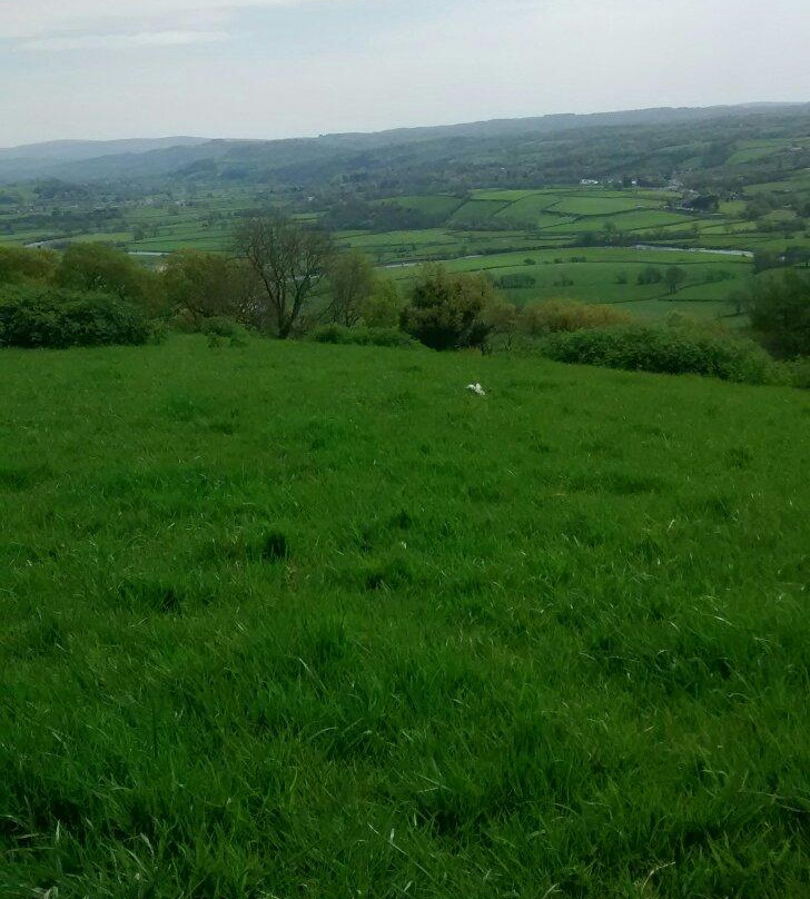 Merlin's Hill Centre & Bed and Breakfast景点图片