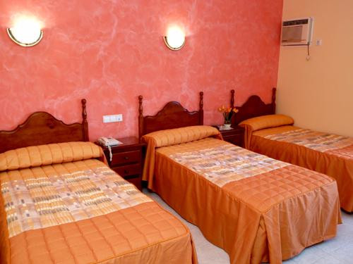 Hostal Alcanadre主图