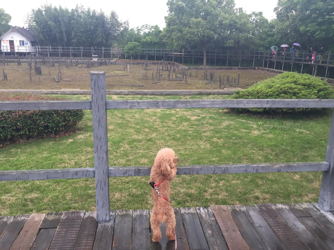 河姆渡遗址-余姚市必去景点