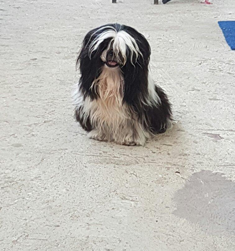 Wallabies Hotel Roxas City主图