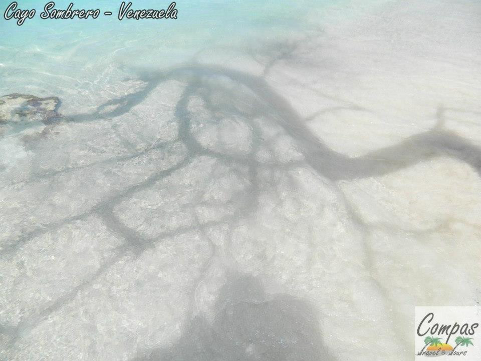 Compas Travel & Tours-加拉加斯必去景点