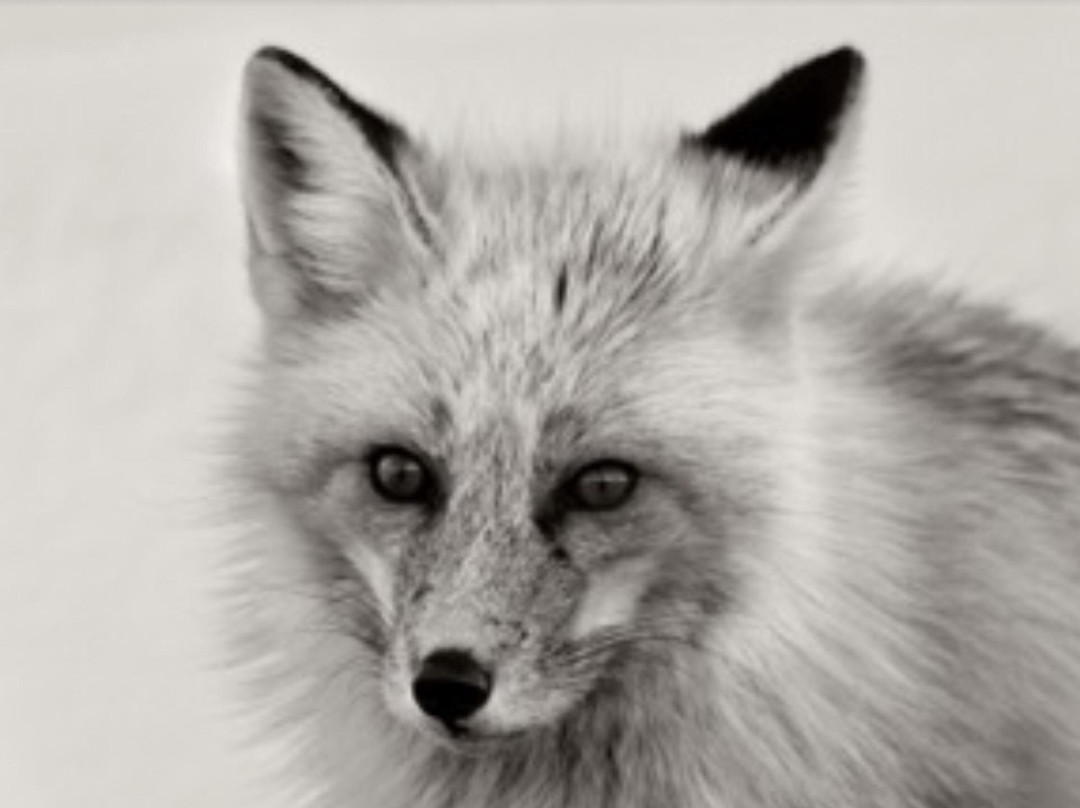 The Brookover Gallery-杰克逊必去景点