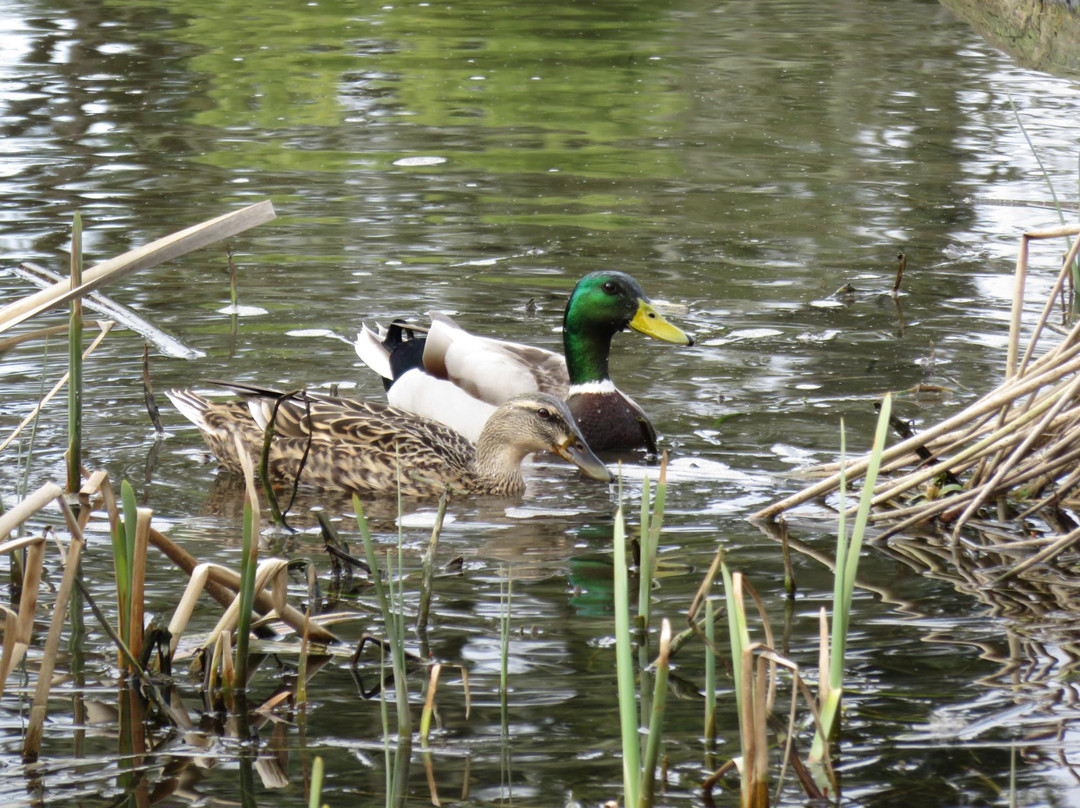 Talking Water Gardens-奥尔巴尼必去景点