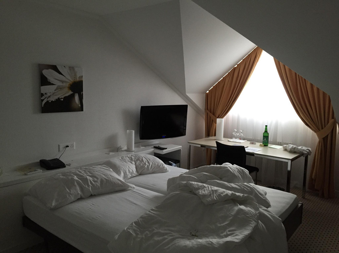 Hotel Schwanen Wil主图