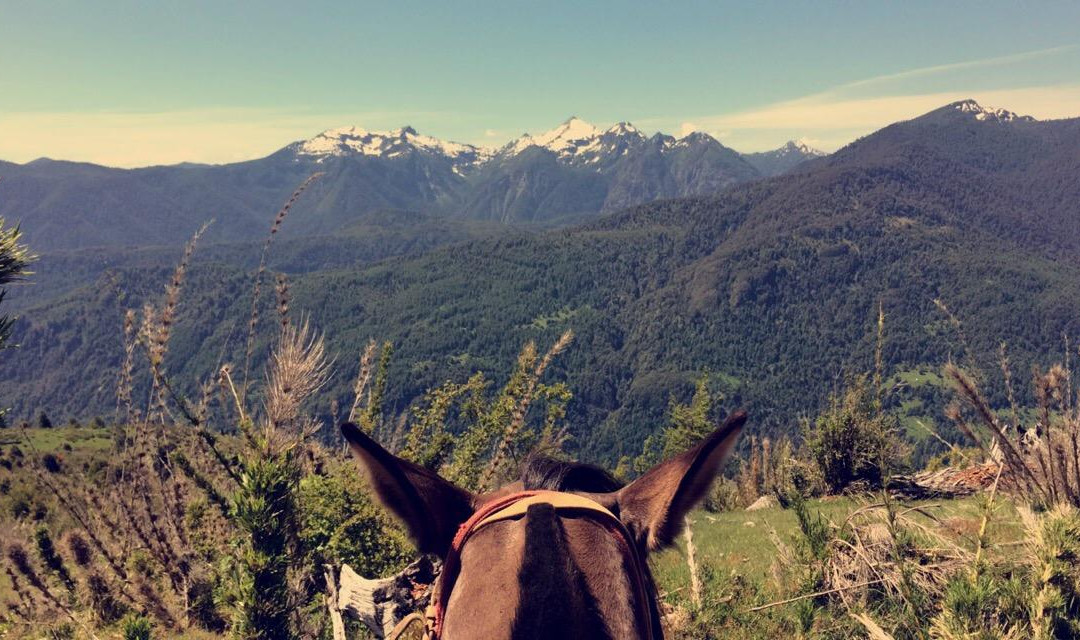 Huepil Malal-普孔必去景点
