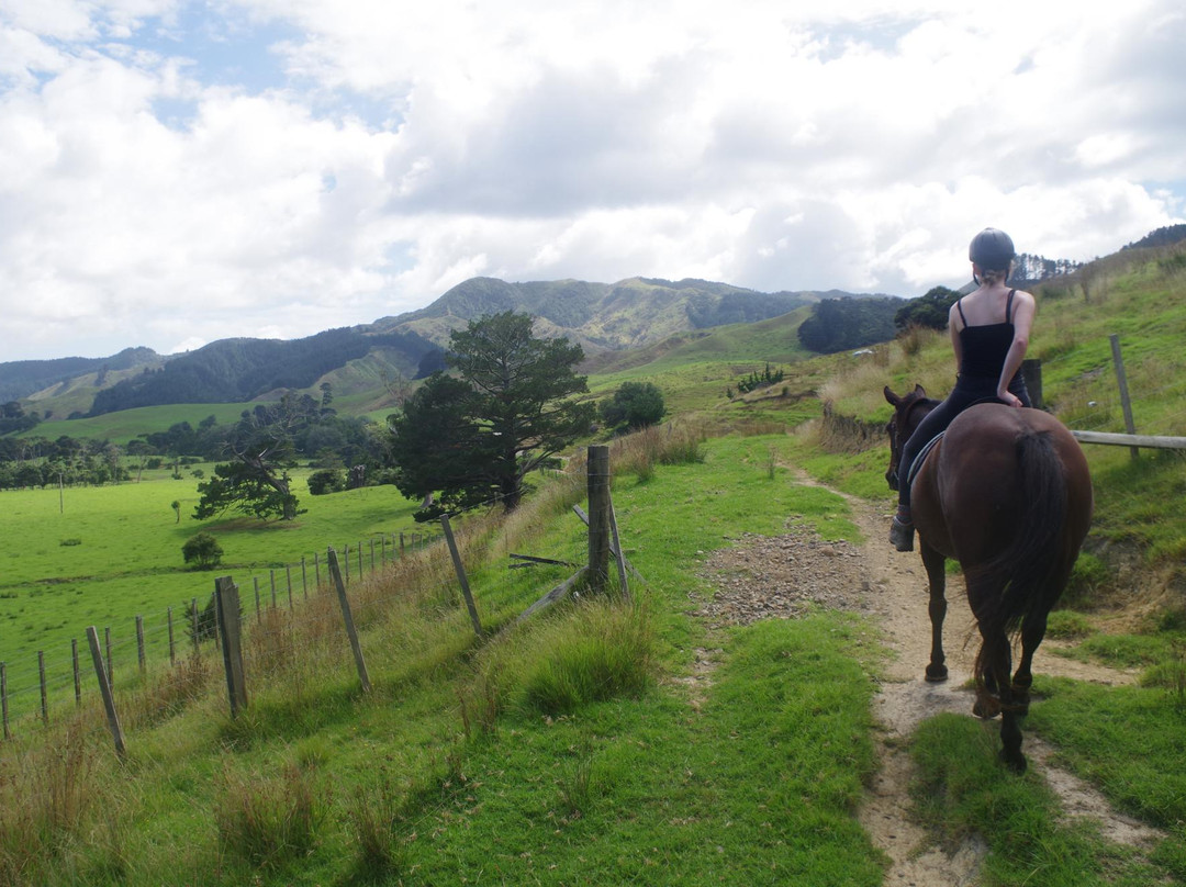 Colville Farm Holidays Horse Trekking-科罗曼德必去景点