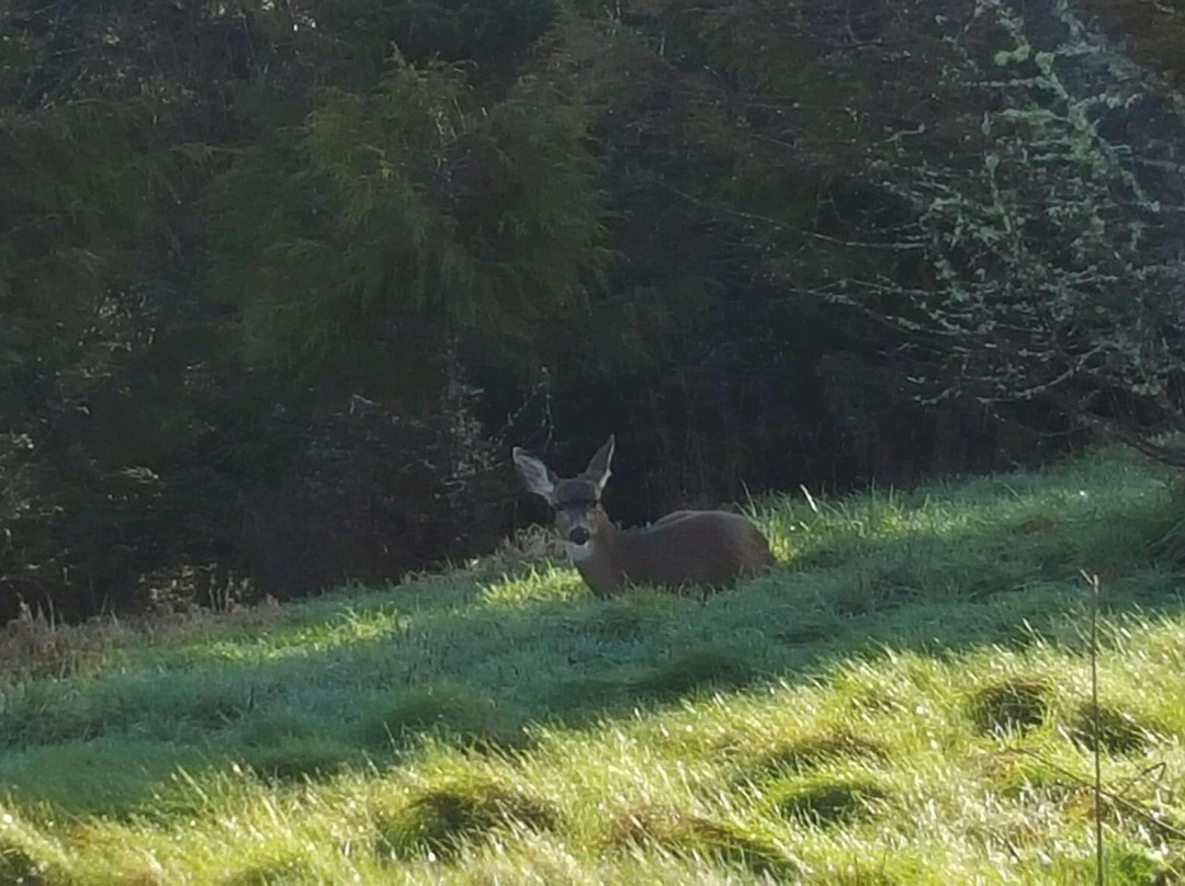 Nestucca Bay National Wildlife Refuge-太平洋城必去景点