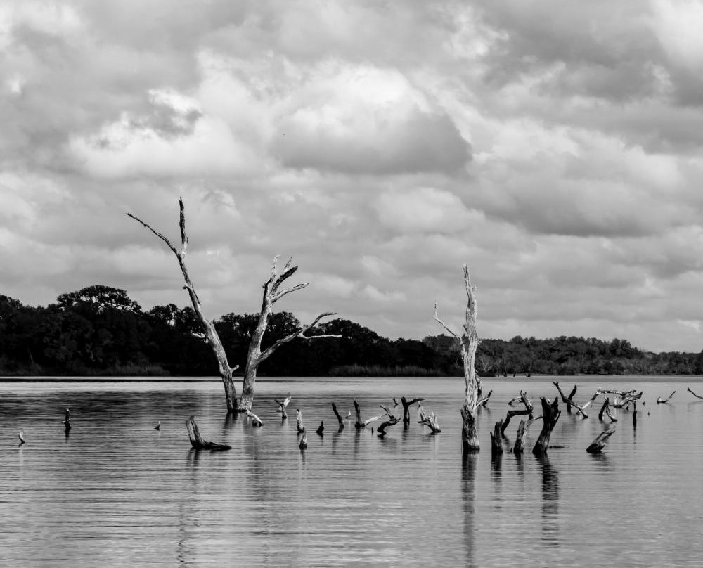 Coleto Creek Park & Reservoir-维多利亚必去景点