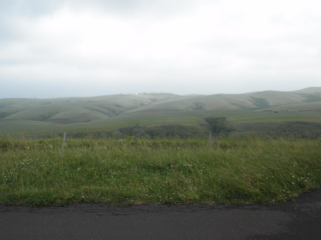 Cape Soya Wind Farm-稚内市必去景点