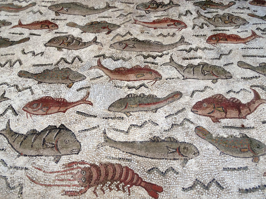 National Museum of Antiquities of Algiers景点图片