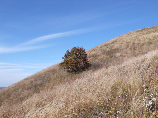 黄草梁自然风景区-北京市必去景点