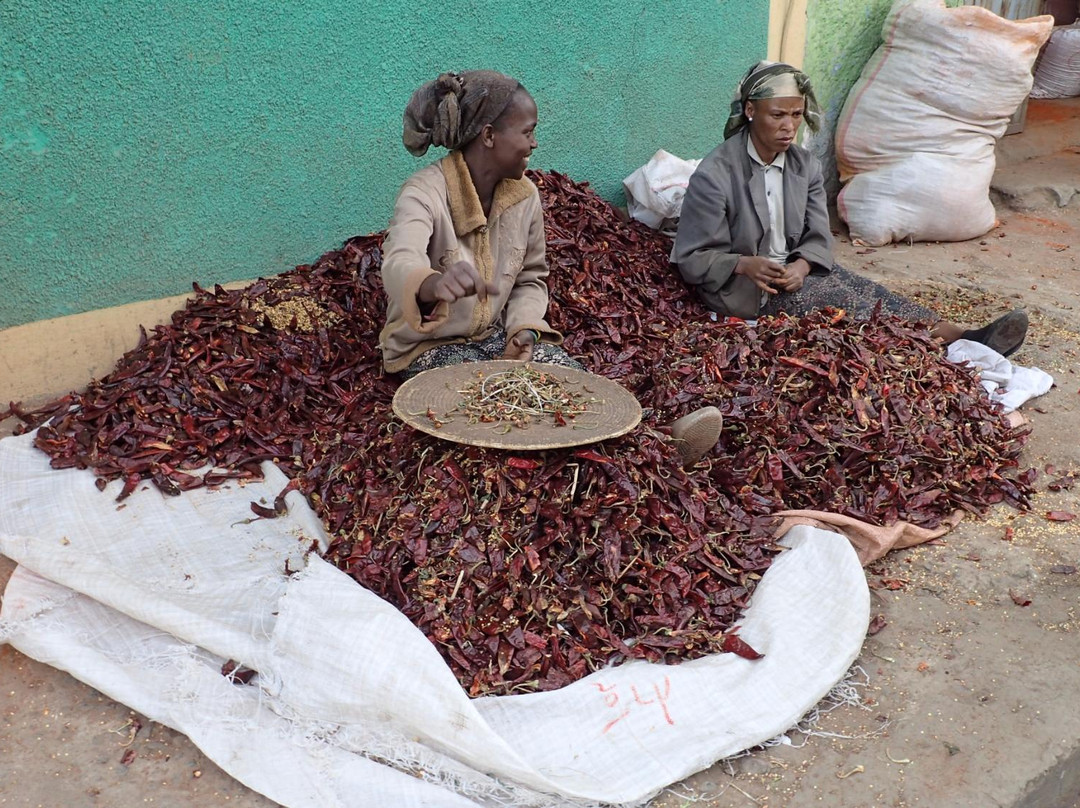 Afro Ethiopia Tour景点图片