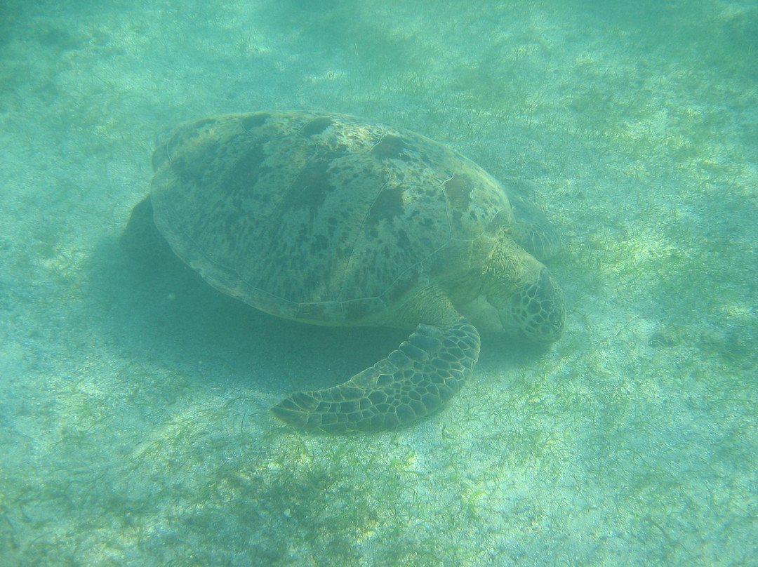 Vagabond Voile-Saint Louis必去景点