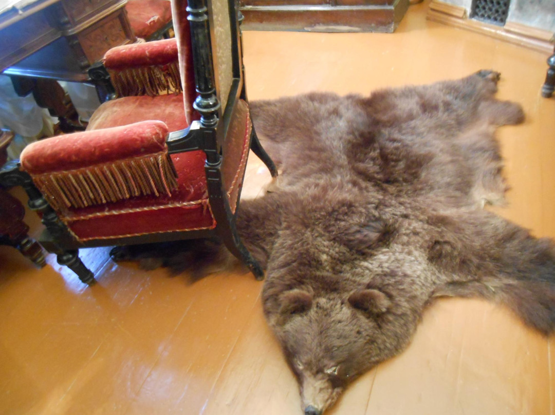 Masharov's House Museum-秋明必去景点