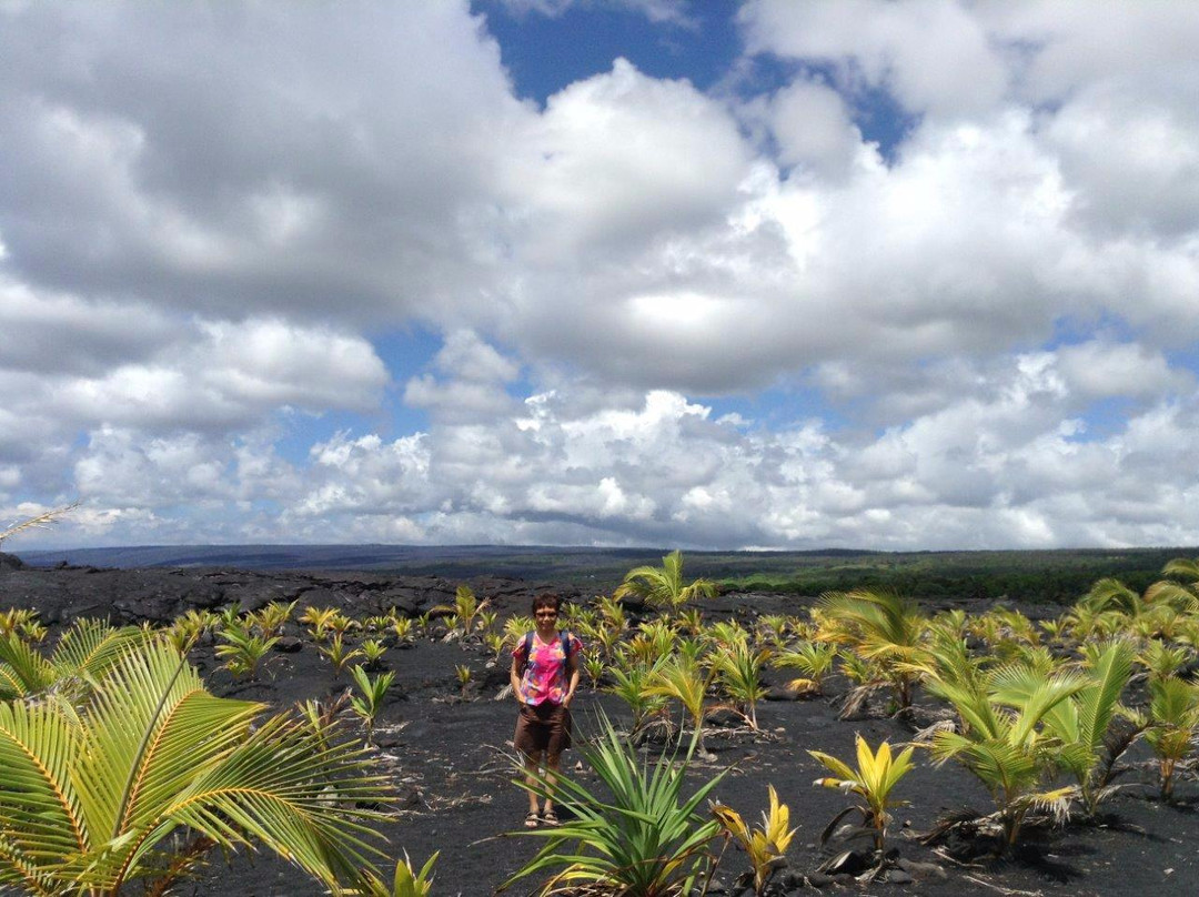 Lava Walk-帕霍亚必去景点