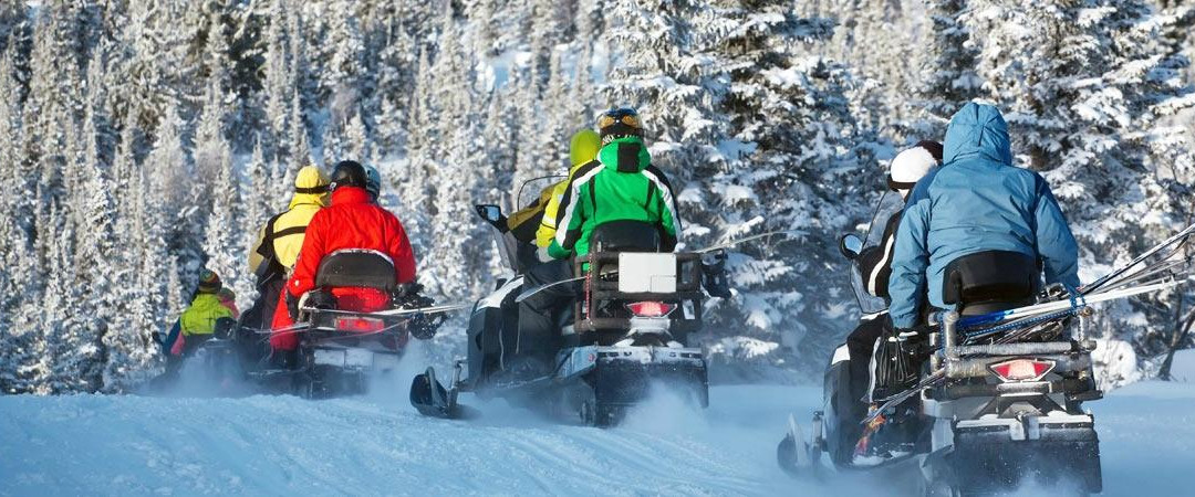 Auberge Le Petit Manoir主图