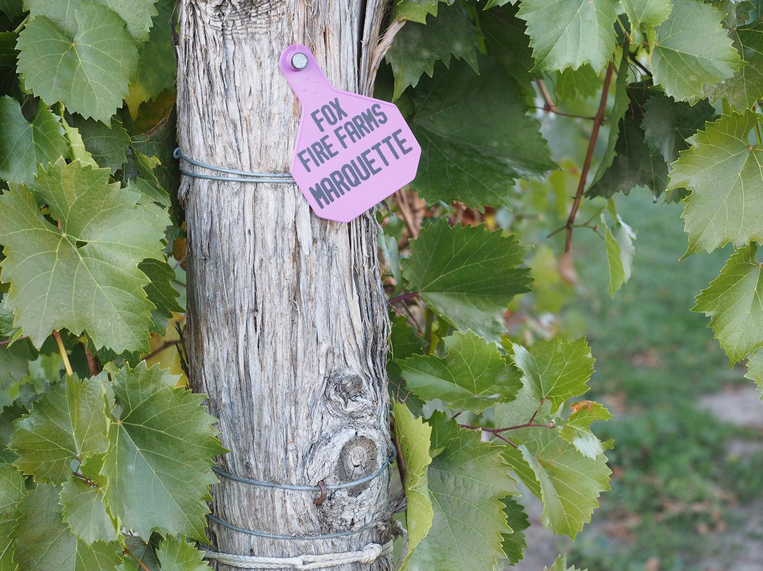 Fox Fire Farms Winery-Ignacio必去景点