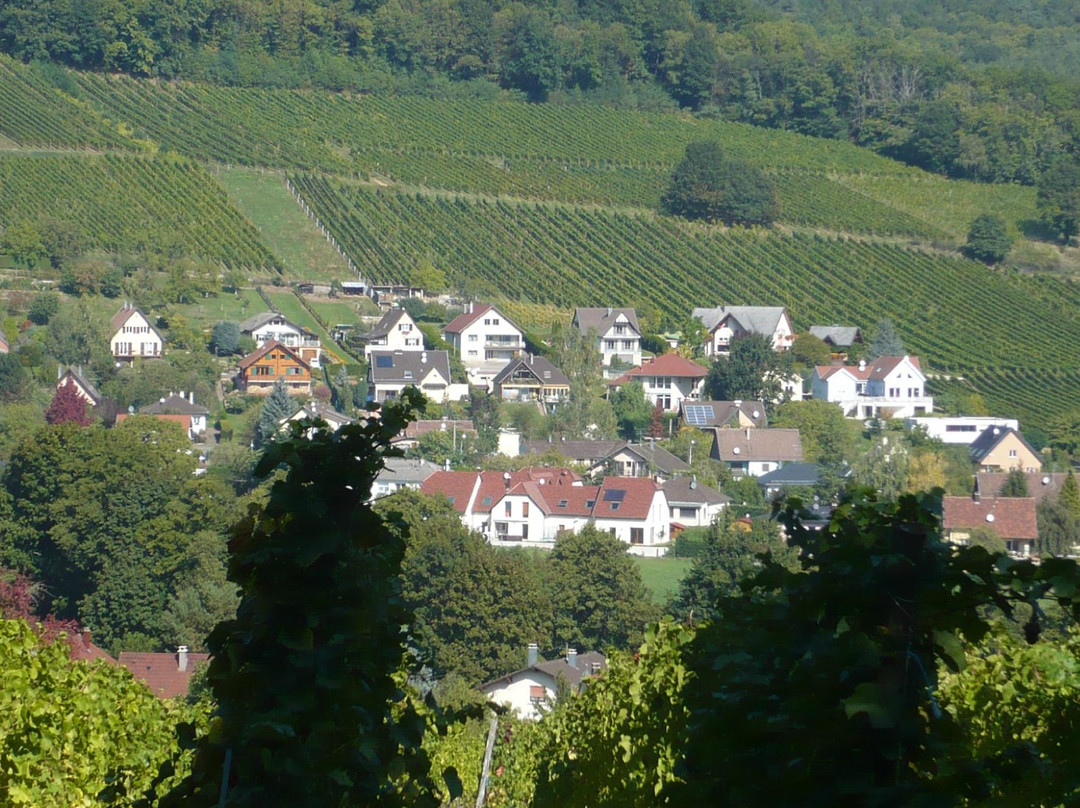 Domaine Viticole de la Ville de Colmar-科尔马必去景点