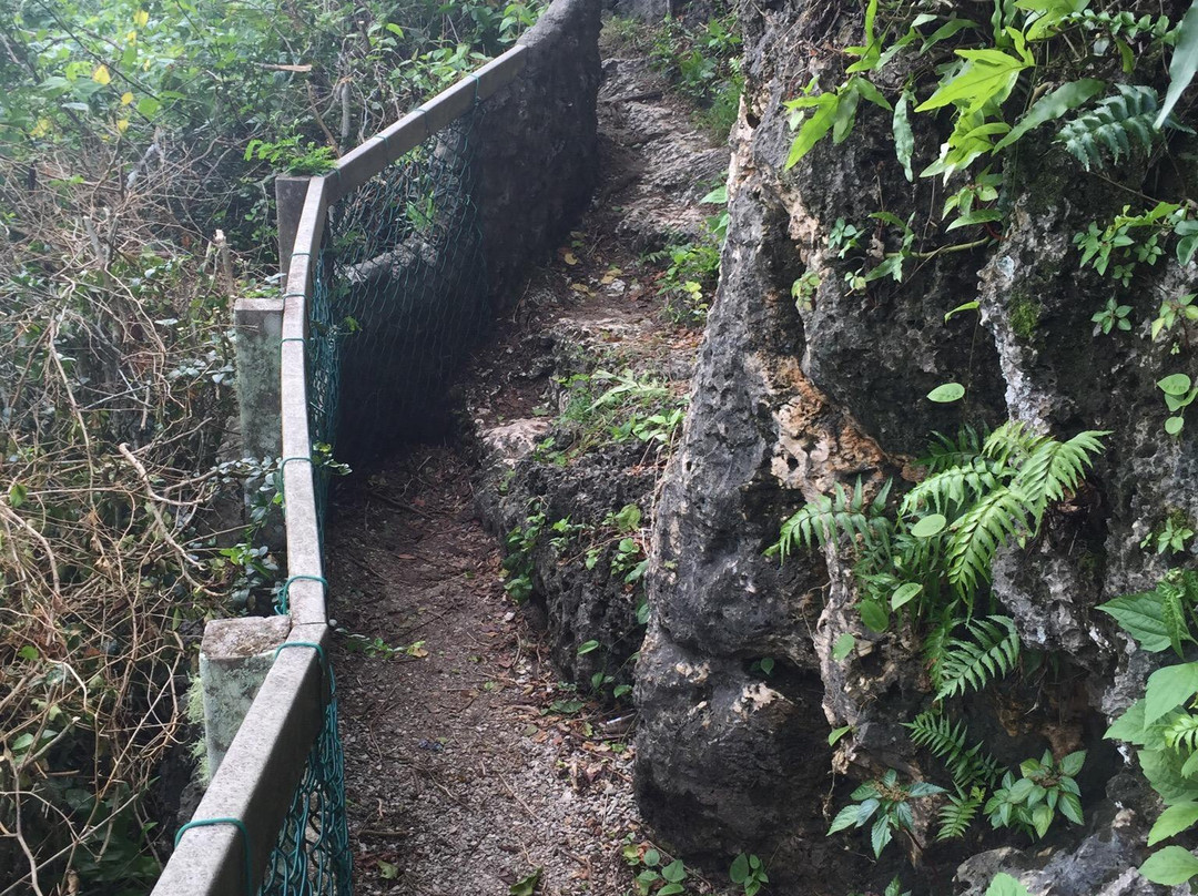 炮滩-塔穆宁必去景点