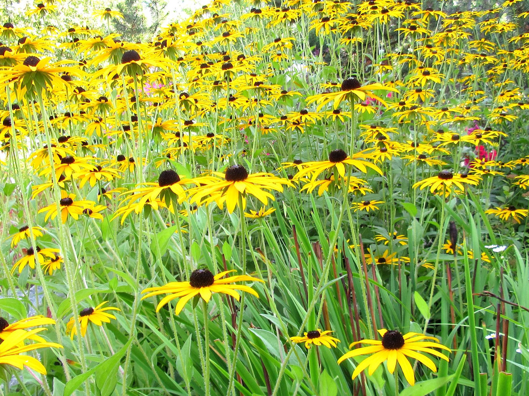 The Museum on Tower Hill-帕里桑德必去景点