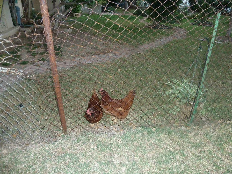 Noftsger Hill Inn主图