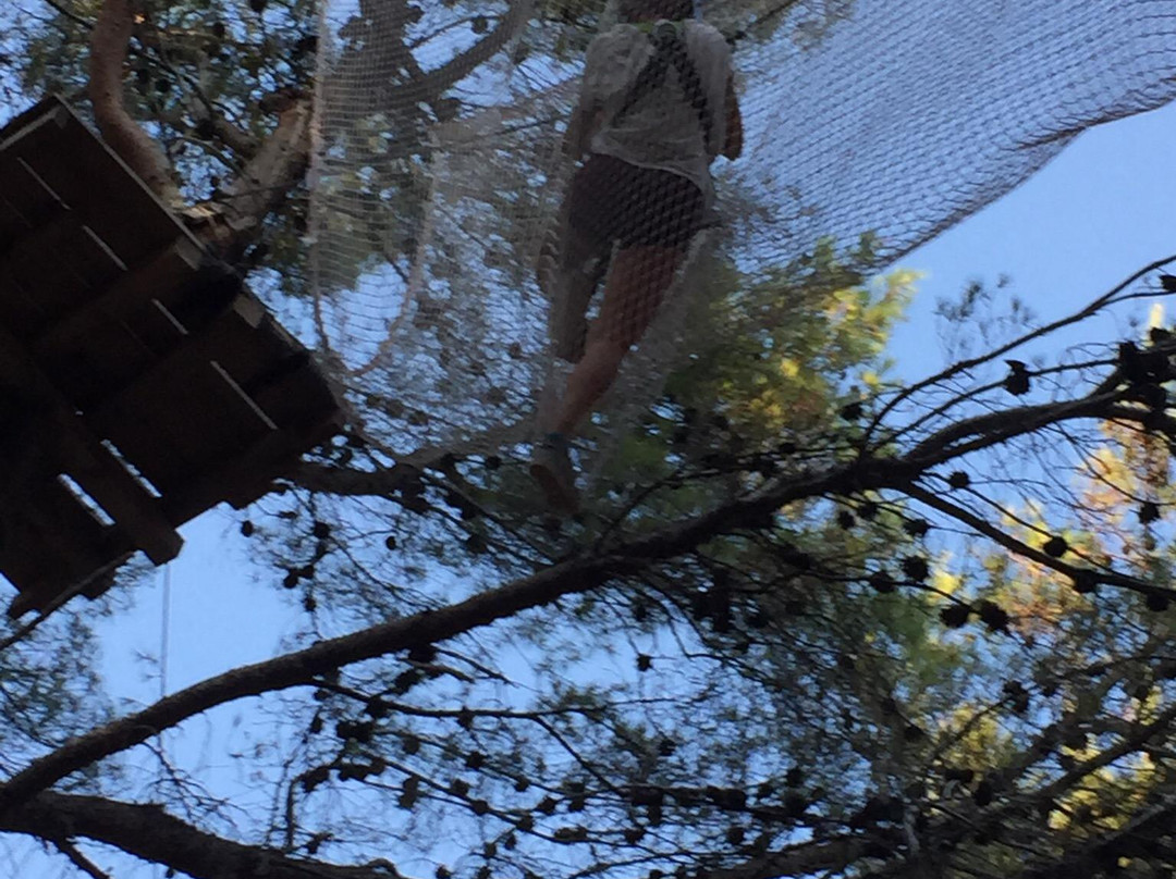 Adventure Park-Kozino必去景点