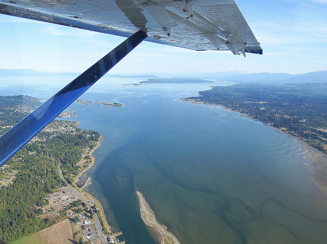 Harbour Air Seaplanes景点图片