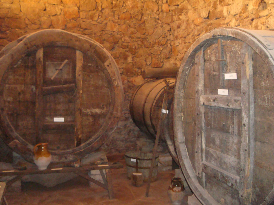 Museo Municipal Vicenc Ros de Martorell景点图片