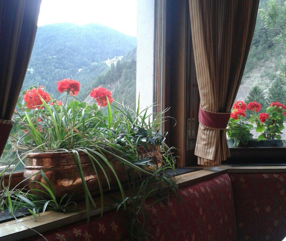 Hotel Ciclamino主图