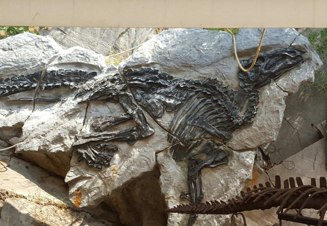 Sito Paleontologico Dinosauro Antonio景点图片